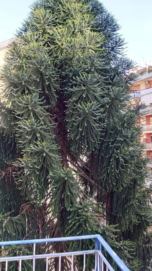La Casa Del Cedro Apartment เนเปิลส์ ภายนอก รูปภาพ